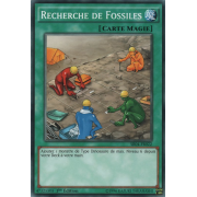 SR04-FR022 Recherche de Fossiles Commune