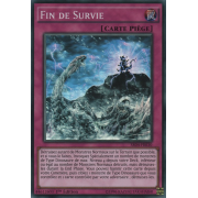 SR04-FR030 Fin de Survie Super Rare