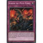 SR04-FR031 Survie du Plus Fort Commune