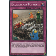 SR04-FR032 Excavation Fossile Commune