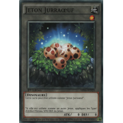 SR04-FRTKN Jeton Jurraoeuf Commune