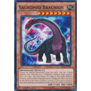 SR04-EN008 Sauropod Brachion Commune