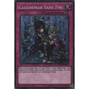 MACR-FR079 Cauchemar Sans Fin Secret Rare