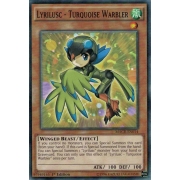 MACR-EN014 Lyrilusc - Turquoise Warbler Commune