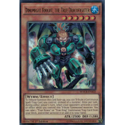 MACR-EN022 Dinomight Knight, the True Dracofighter Ultra Rare