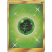 SL02_167/145 Énergie Plante Secret Rare