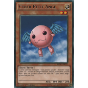 DPDG-FR012 Cyber Petit Ange Rare