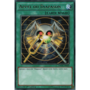 DPDG-FR029 Appel du Diapason Rare