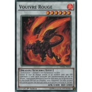 DPDG-FR032 Vouivre Rouge Commune