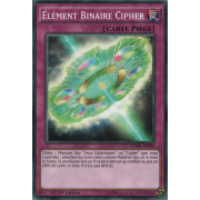 DPDG-FR044 Élément Binaire Cipher Commune