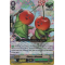 G-FC04/072EN Cherry & Blossom Double Rare (RR)