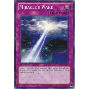 Miracle's Wake