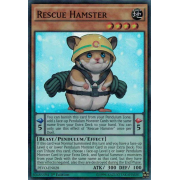 PEVO-EN028 Rescue Hamster Super Rare