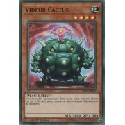 BLLR-FR049 Videur Cactus Ultra Rare