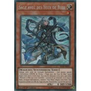 BLLR-FR055 Sage avec des Yeux de Bleu Secret Rare