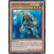 Insect Knight