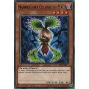 YS17-FR011 Mandragora Colonie du Mal Commune