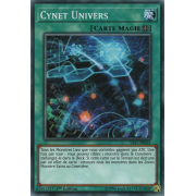 YS17-FR021 Cynet Univers Commune