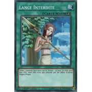 YS17-FR026 Lance Interdite Commune