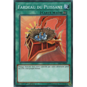 YS17-FR029 Fardeau du Puissant Commune