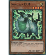 YS17-FR003 Nuageur RAM Super Rare