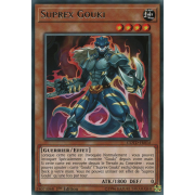 COTD-FR010 Suprex Gouki Rare