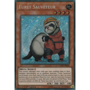 COTD-FR029 Furet Sauveteur Secret Rare