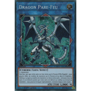 COTD-FR043 Dragon Pare-Feu Secret Rare