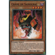 COTD-FR081 Crâne de Samouraï Commune