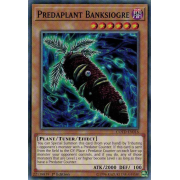 COTD-EN016 Predaplant Banksiogre Commune