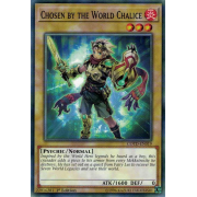 COTD-EN019 Chosen by the World Chalice Commune