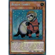 COTD-EN029 Rescue Ferret Secret Rare