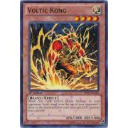 Voltic Kong