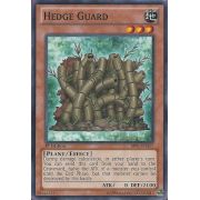 BP01-EN157 Hedge Guard Commune