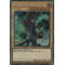 CT14-FR001 Magicien Sombre Secret Rare