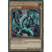 CT14-FR002 Dragon Blanc aux Yeux Bleus Secret Rare