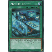 MP17-FR033 Matrice Insecte Commune