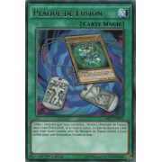 MP17-FR035 Plaque de Fusion Rare