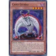 Card Guard