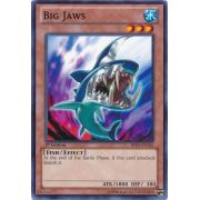 BP01-EN165 Big Jaws Commune
