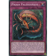 MP17-FR125 Pikaia Paléozoïque Commune