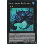 MP17-FR126 Anomalocaris Paléozoïque Super Rare