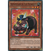 MP17-FR128 Hippopotame du Flip Potartiste Commune