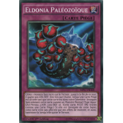 MP17-FR168 Eldonia Paléozoïque Commune