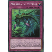 MP17-FR170 Marrella Paléozoïque Commune