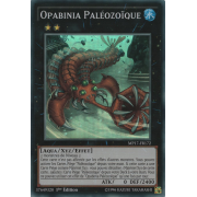 MP17-FR172 Opabinia Paléozoïque Super Rare