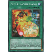 MP17-FR216 Pointe Alphan Super Quantique Commune