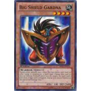 Big Shield Gardna