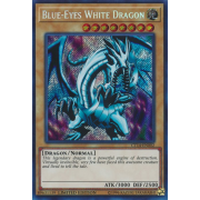 CT14-EN002 Blue-Eyes White Dragon Secret Rare