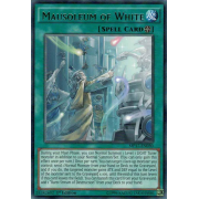 MP17-EN030 Mausoleum of White Rare